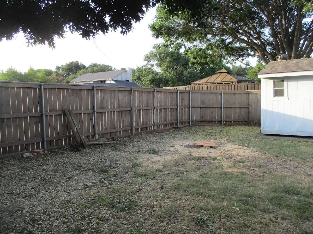 Cleared yard after professional tree removal in Medina