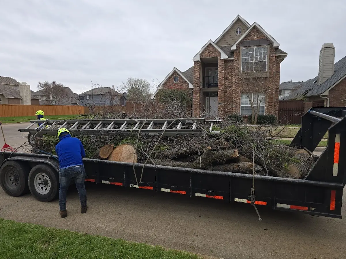 Expert Tree Fertilization with proper safety equipment in Medina